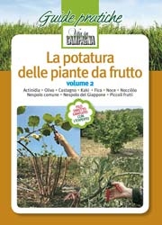 Giorgio Bargioni, Gino Bassi, Guido Bassi, Giovanni RigoLa potatura delle piante da frutto - volume 2