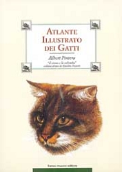Albert PinteraAtlante illustrato dei gatti