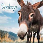 a.a.v.v.Donkeys 2020 calendar